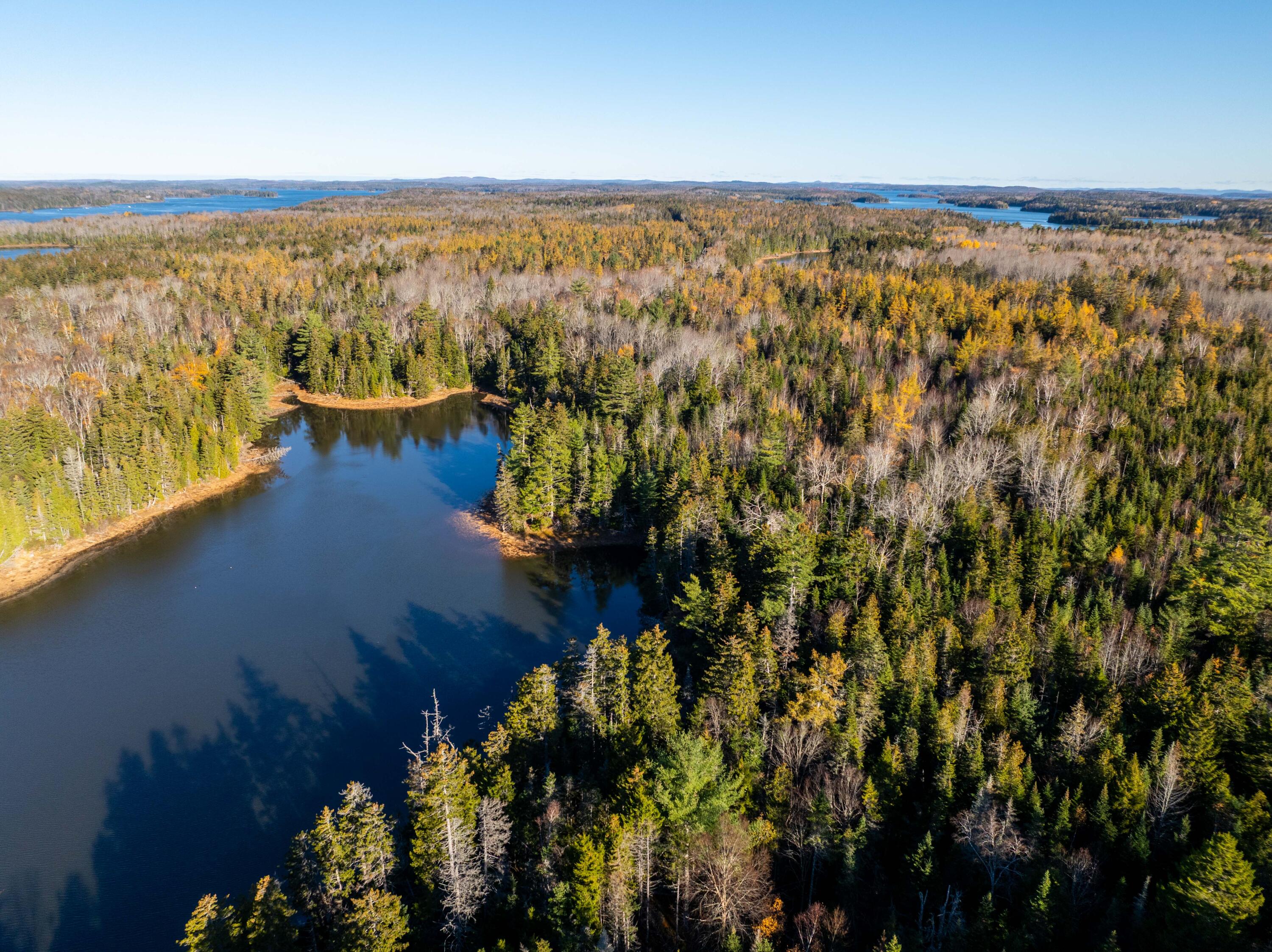 01-4 WA035, Trescott Twp, ME, 04652