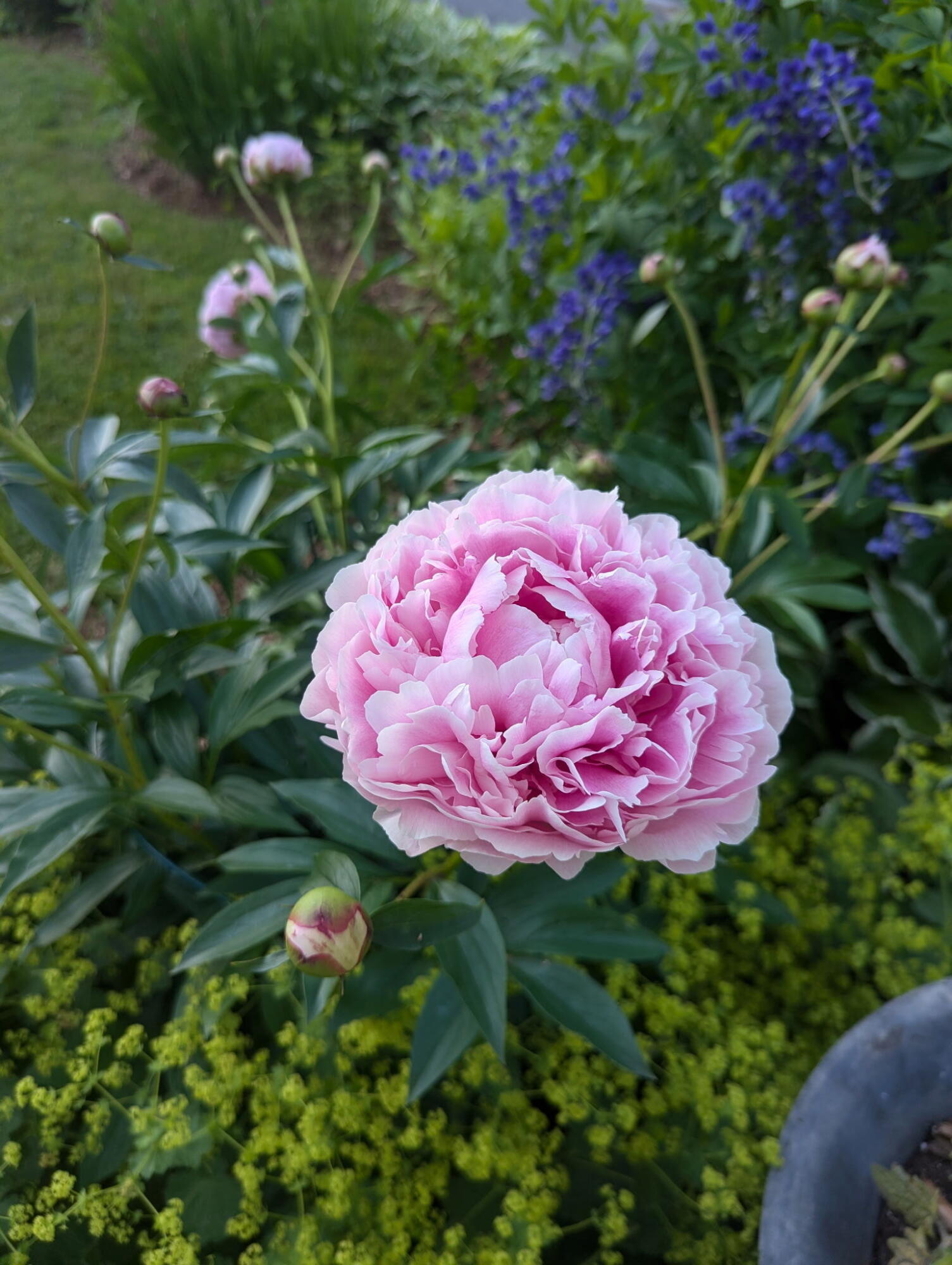 48 Pennell Avenue, Portland, ME, 04103