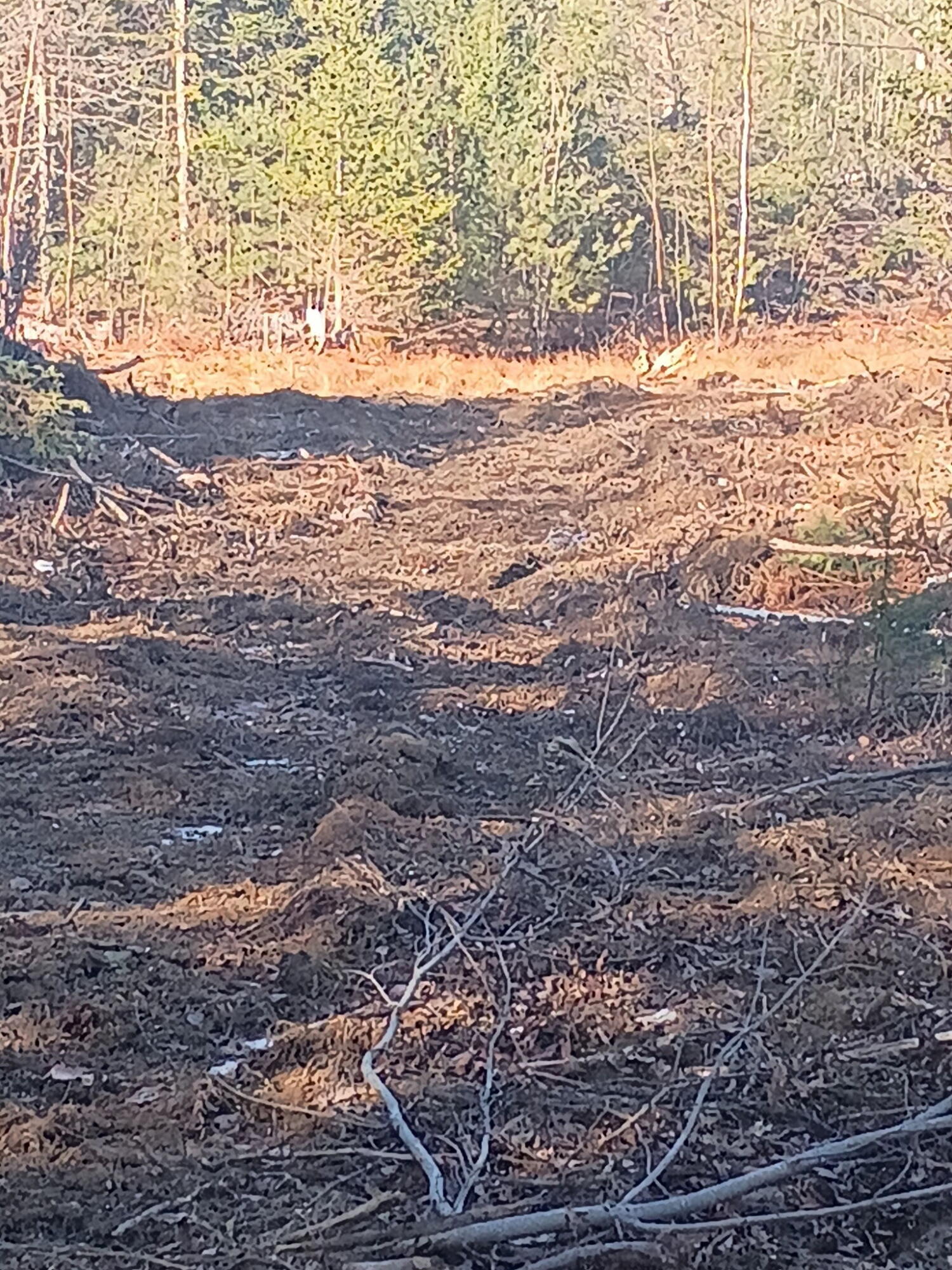 848 Old Stage Road, Woolwich, ME, 04579