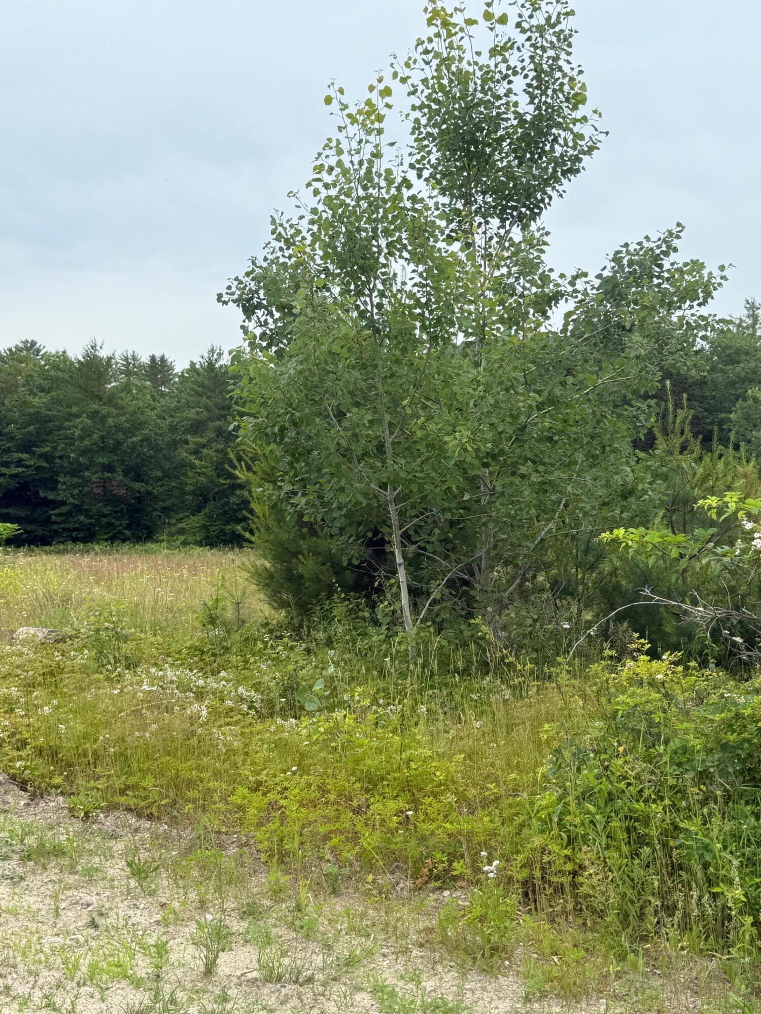 0 Hawk Meadow Road, Waterford, ME, 04088