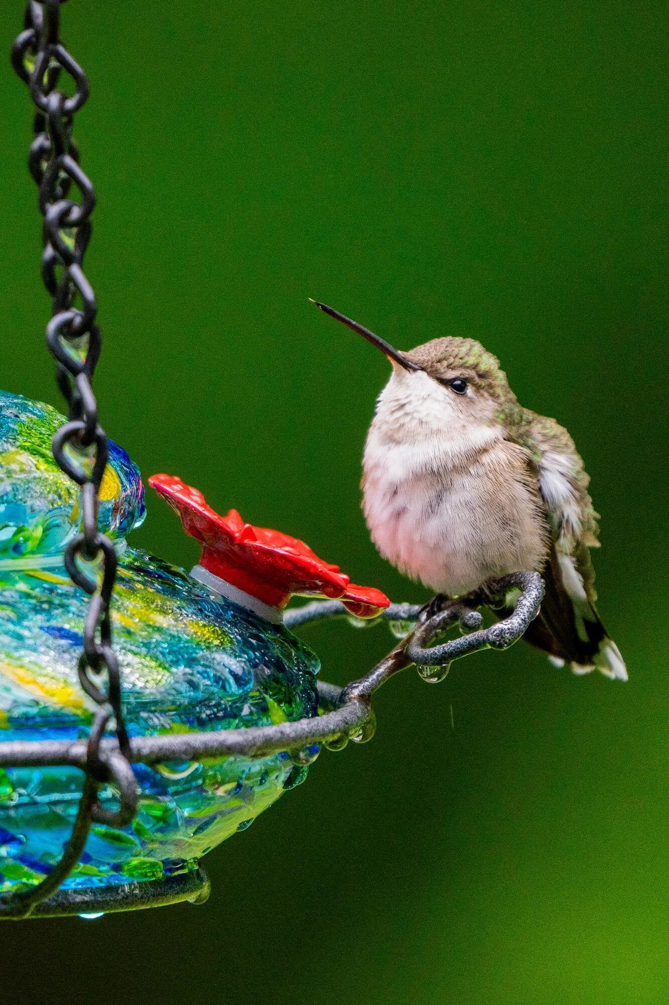 46 River Edge Drive, Woolwich, ME, 04579