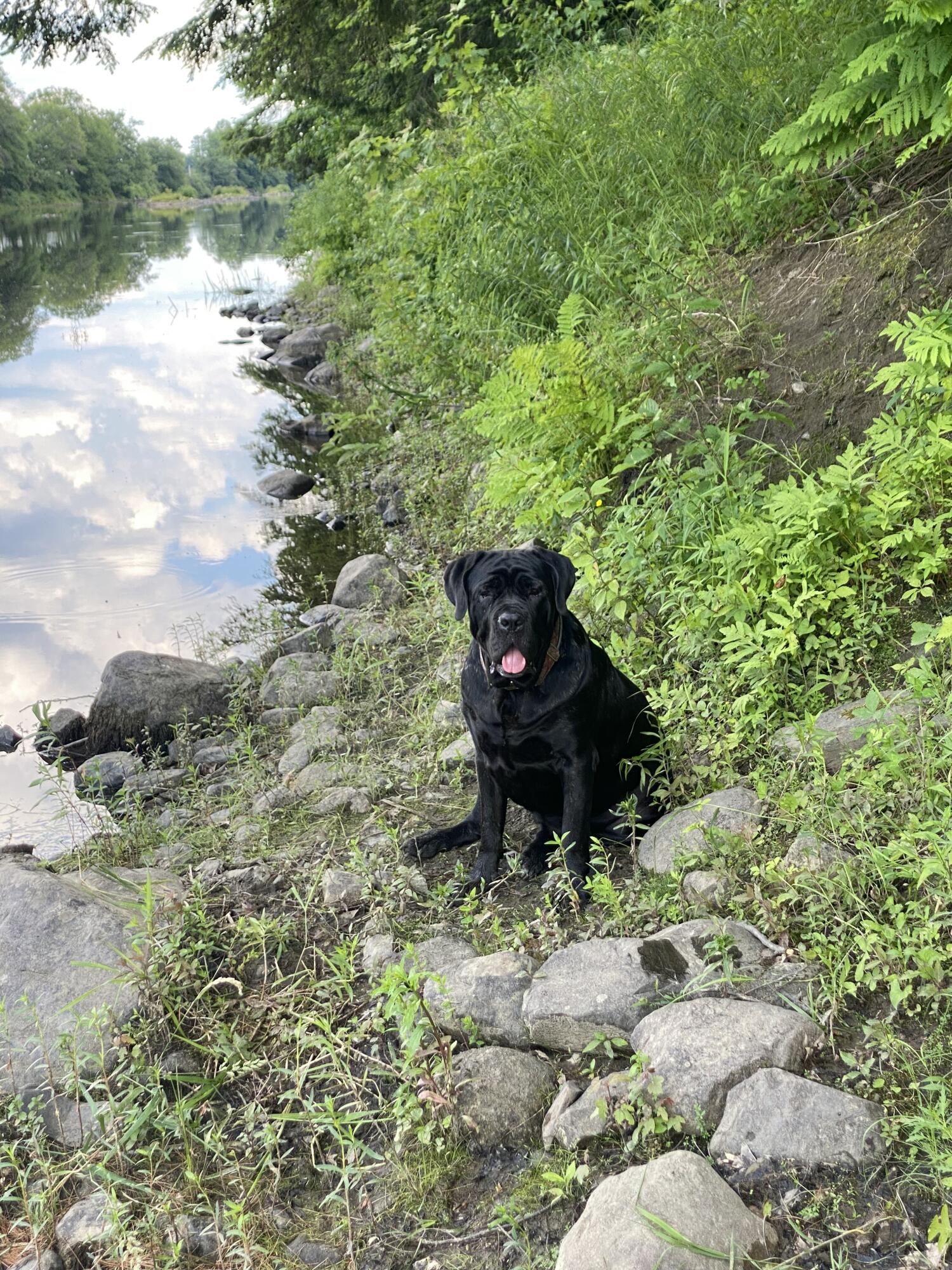 TBD Spruce Drive, Anson, ME, 04911