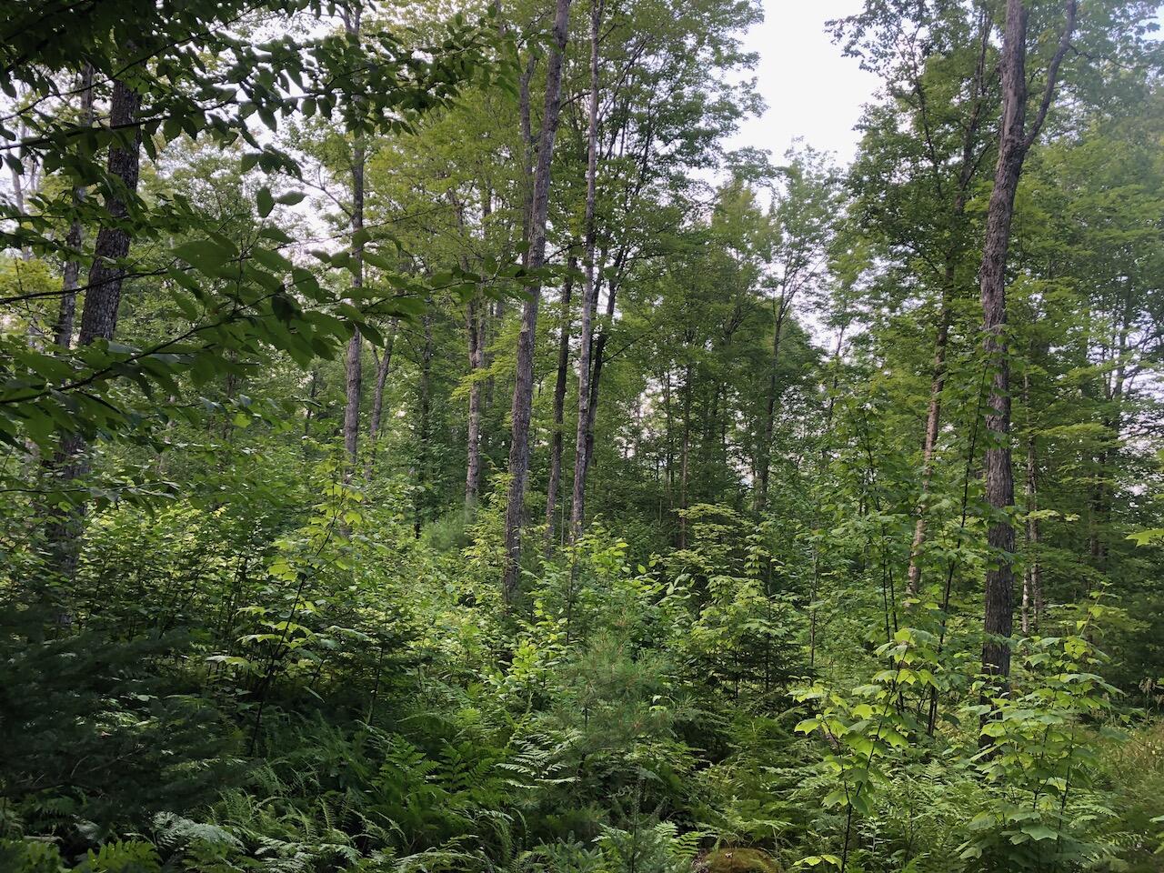 06 Swett Brook Lane, Weld, ME, 04285