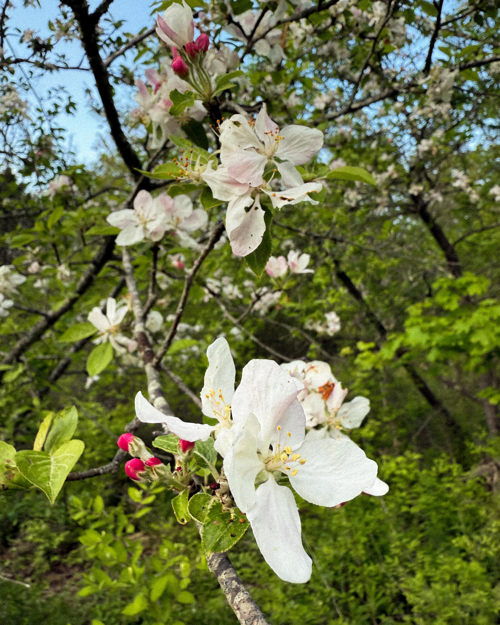 260 Clark Island Road, Saint George, ME, 04859