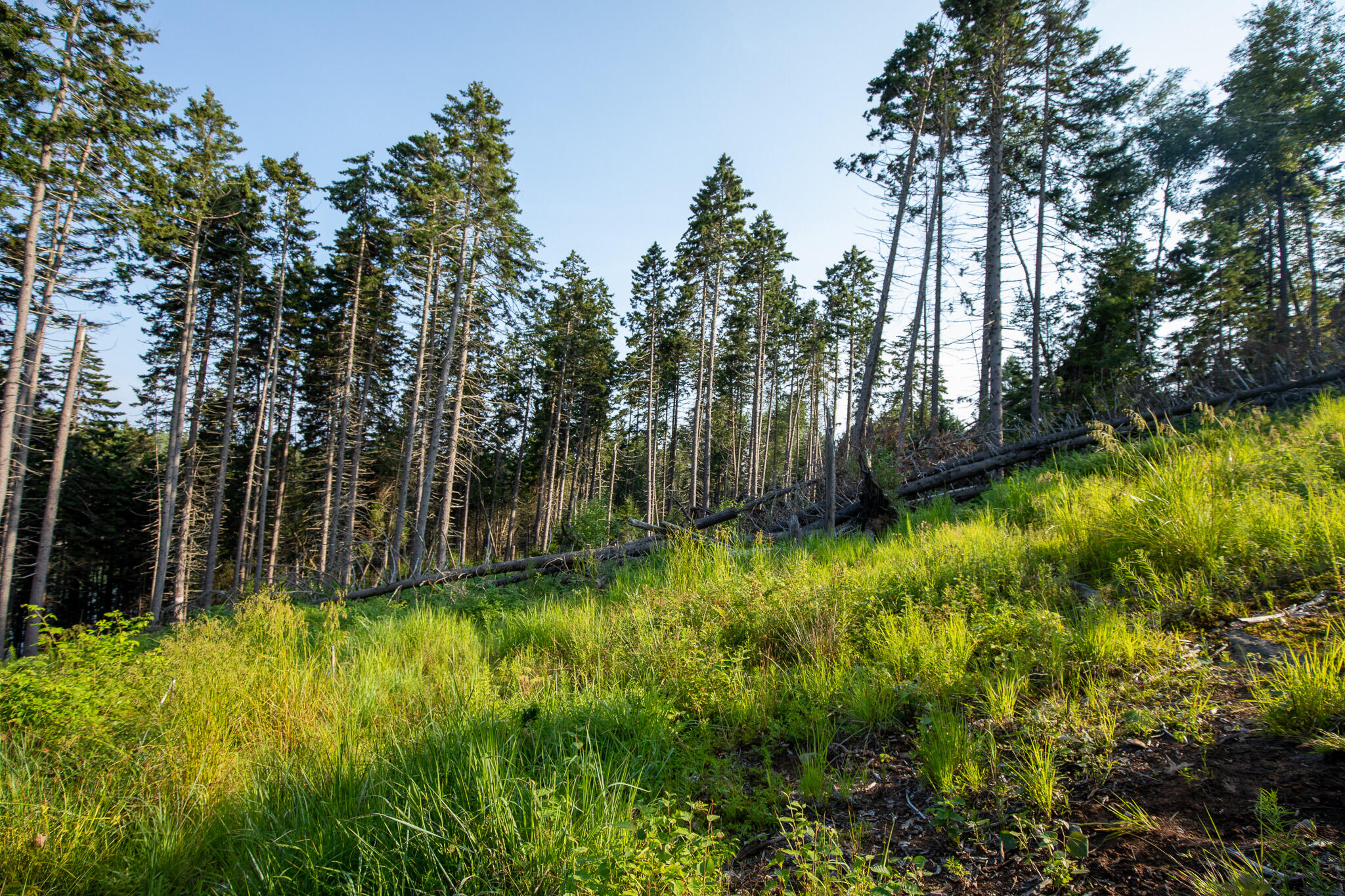 0 Bayview Road UNIT 2, Harpswell, ME, 04066