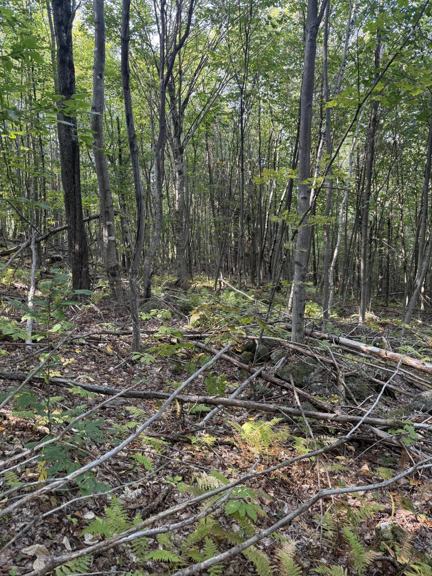 LotUNIT&nbsp;55 Arlines Way, Woodstock, ME, 04219