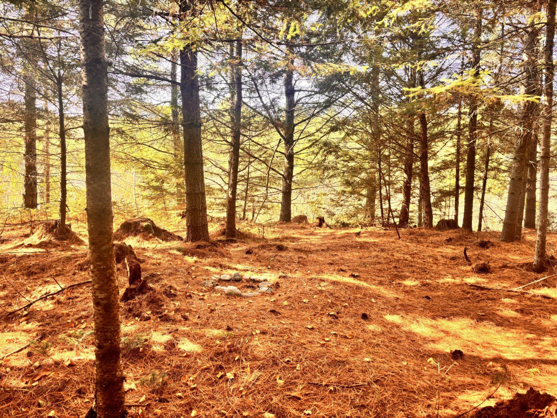 150 Bowden Point Road, Prospect, ME, 04981