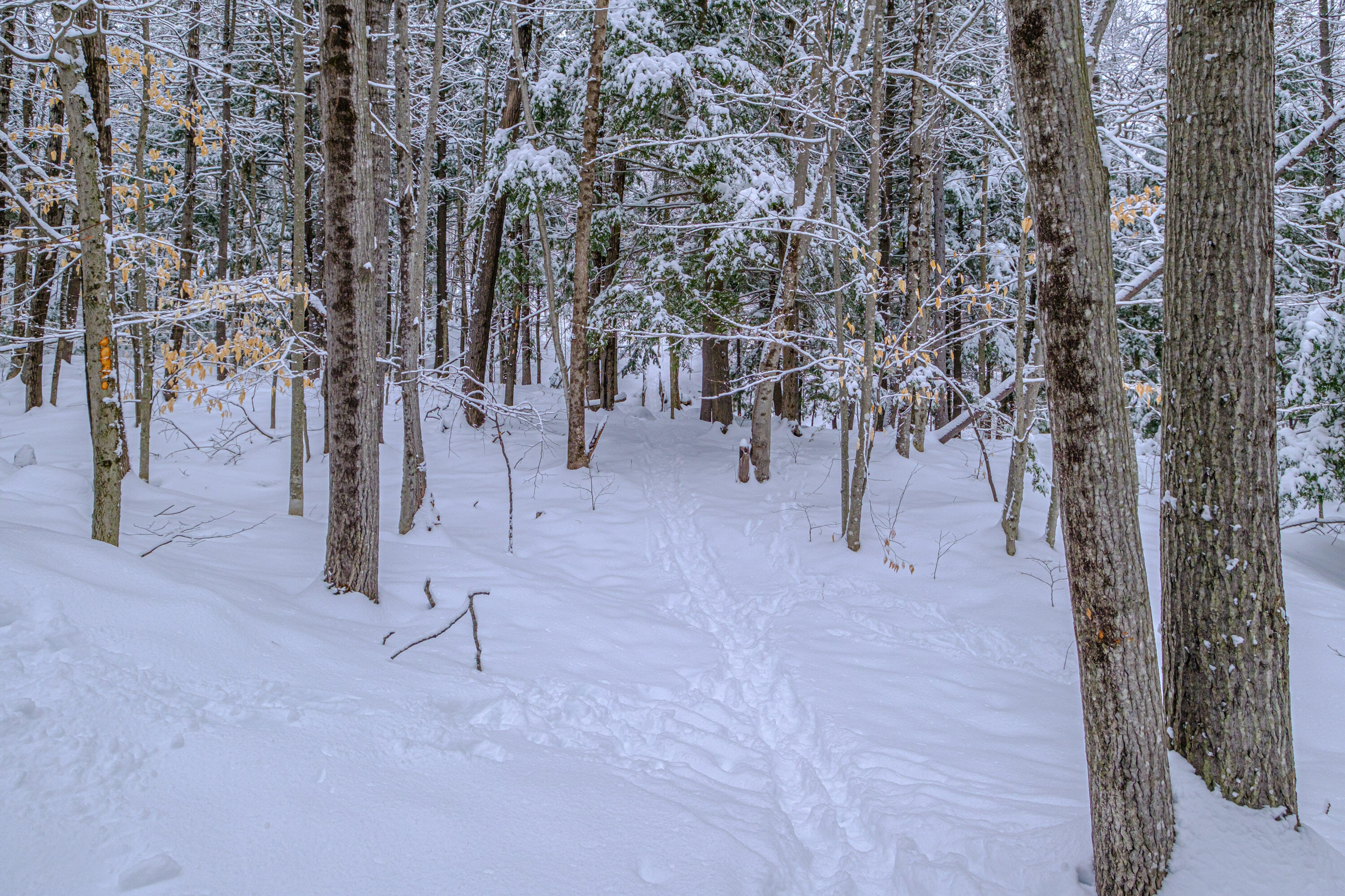 45 Viking Village Road, Newry, ME, 04261