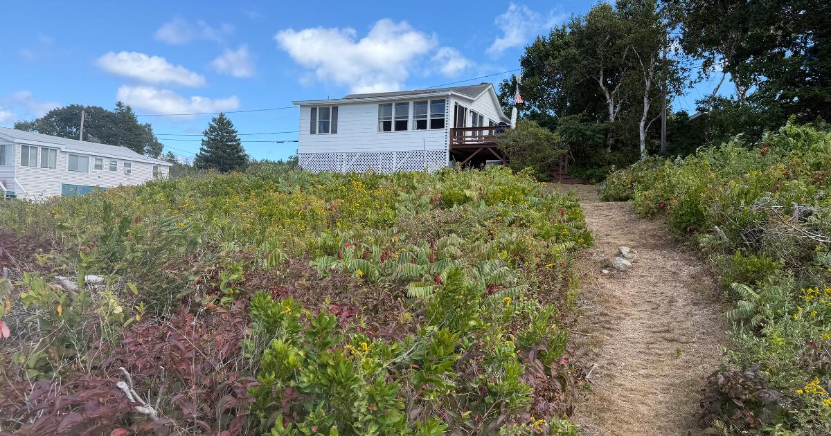 Property photo 5