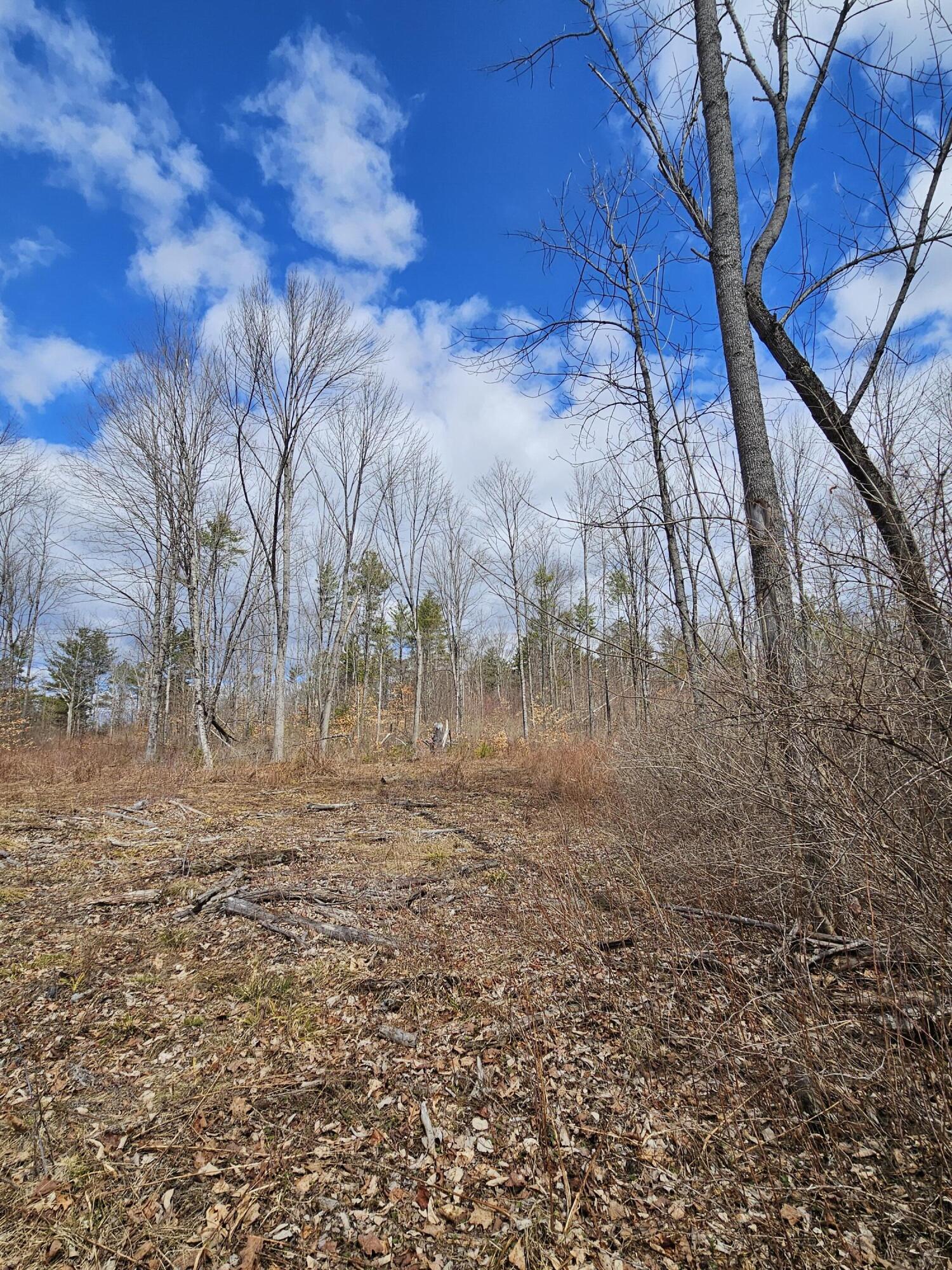 Lot 113-2 Cushman Road, Winslow, ME, 04901