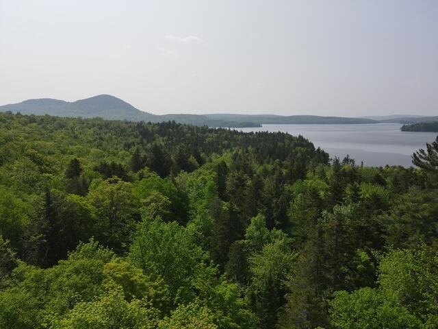 Lot 30 Brighton Hill Road, Minot, ME, 04258