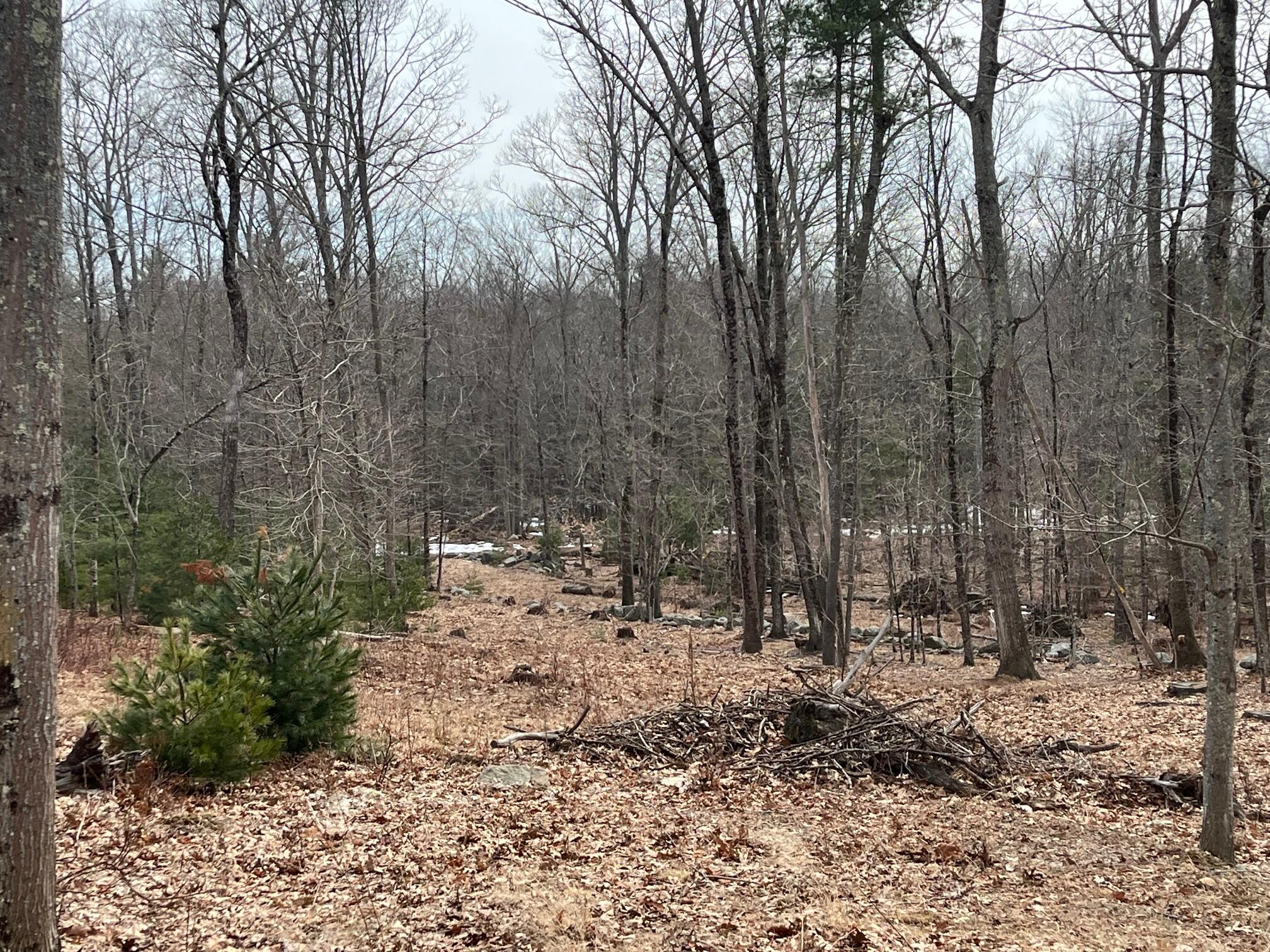 020-078 Blue Hill, Blue Hill, ME, 04614