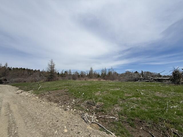 Photo of Lot 1 Holmes Bay Farms Road Whiting ME 04691