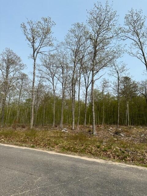 Lot 17 Birch Circle, Harrison, ME, 04040