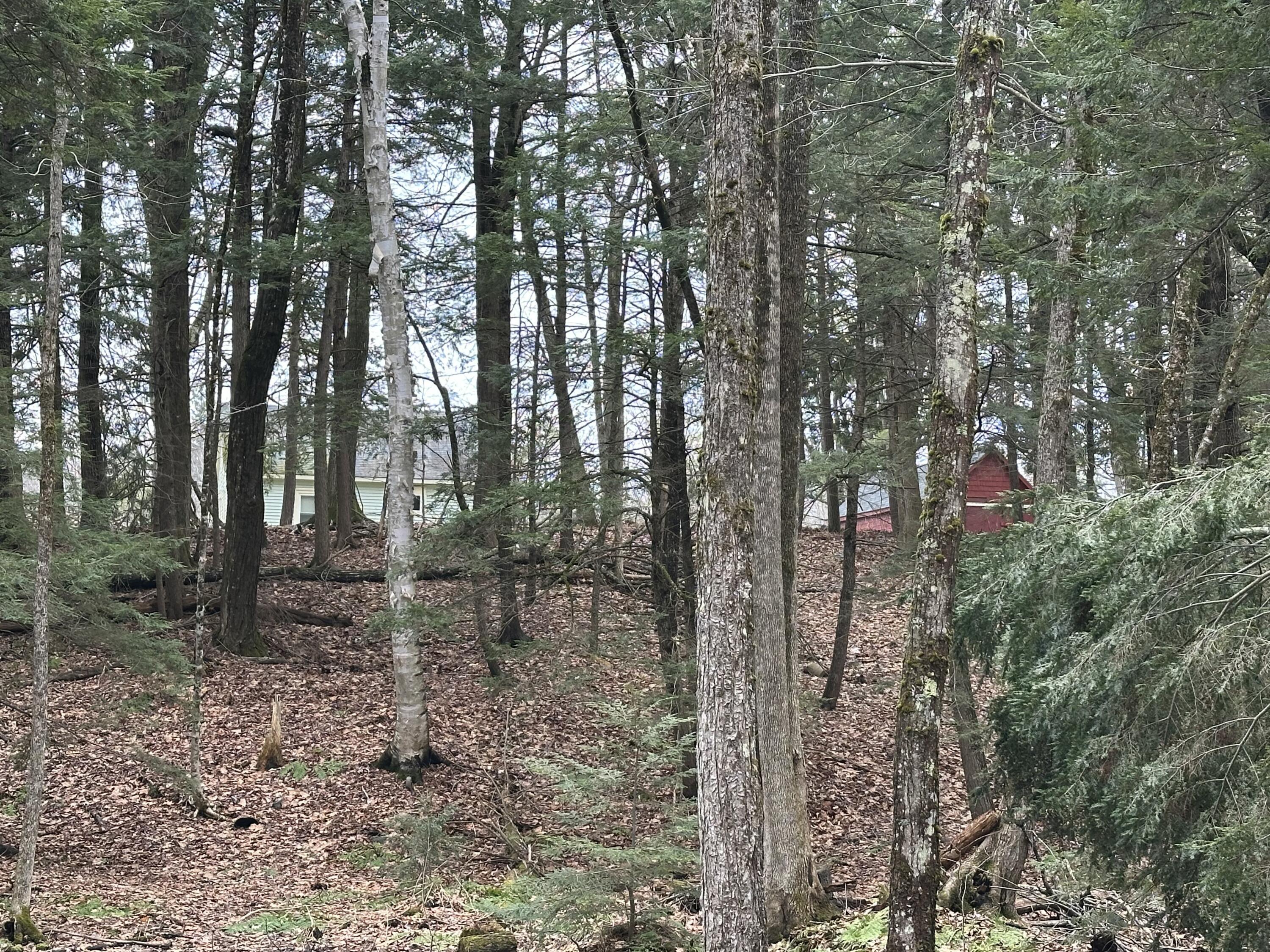 60 Mechanic Falls Road, Poland, ME, 04274