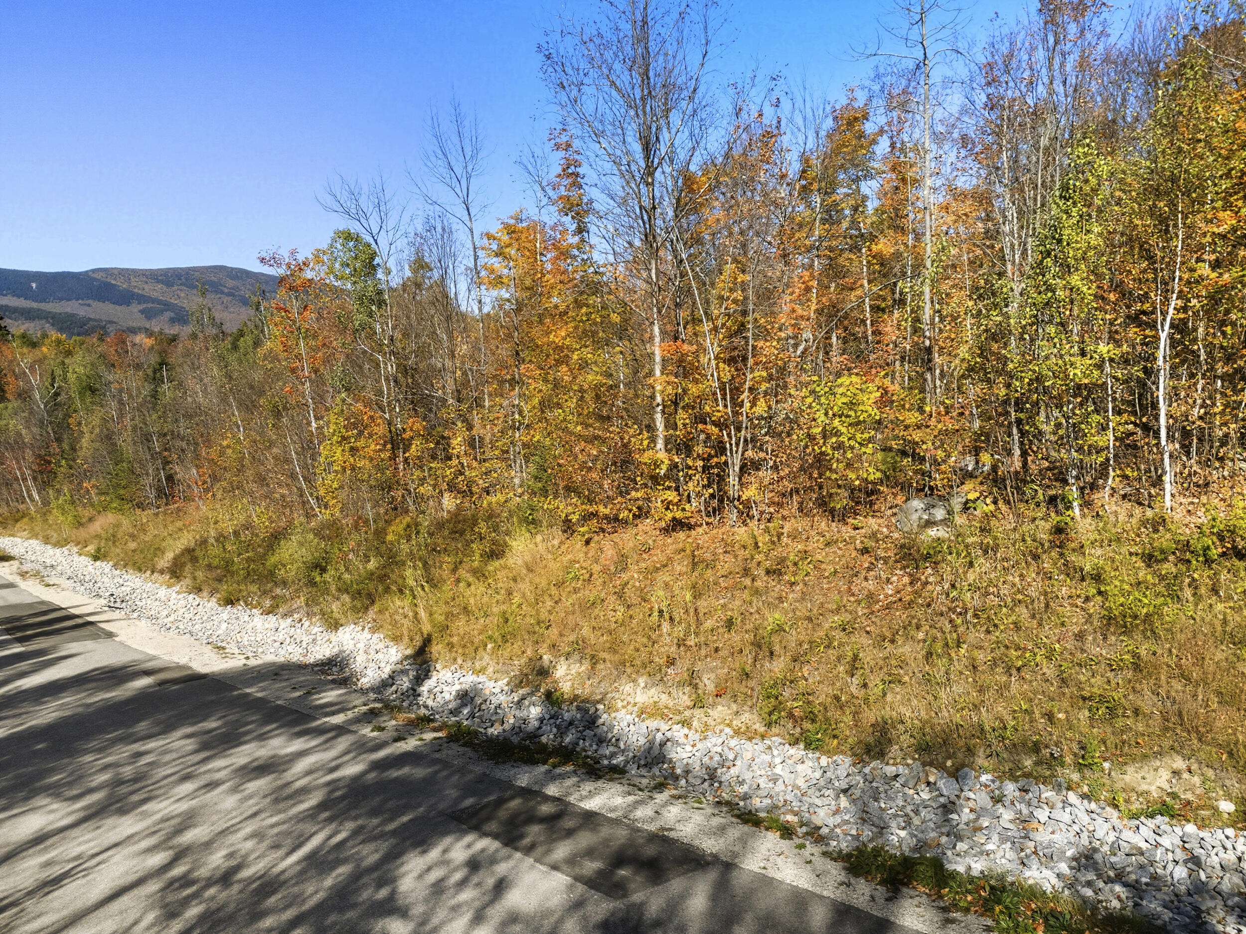 Lot 58 Sunset Vista Way, Newry, ME, 04261