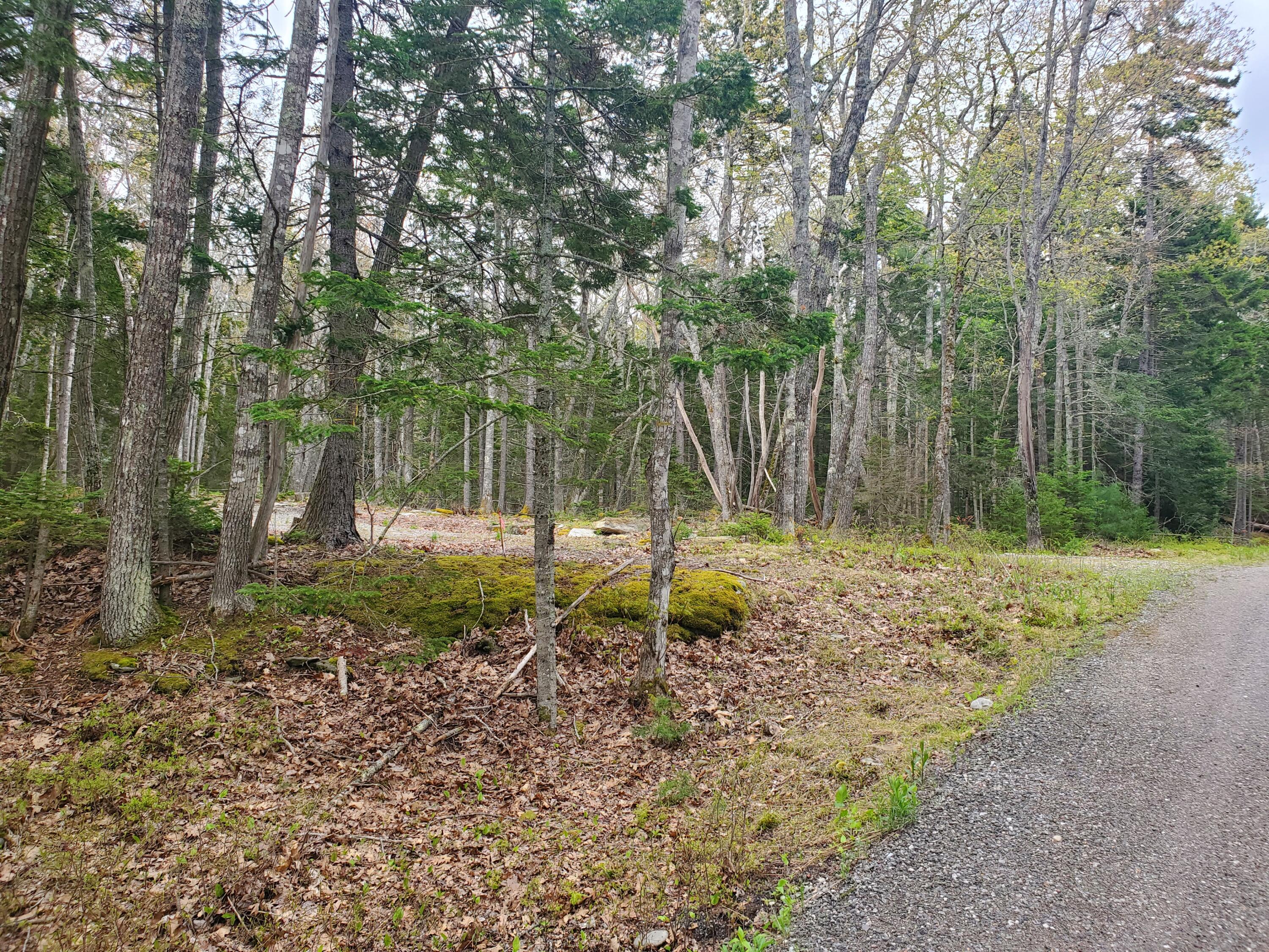 36 Eastwood Court, Bristol, ME, 04539