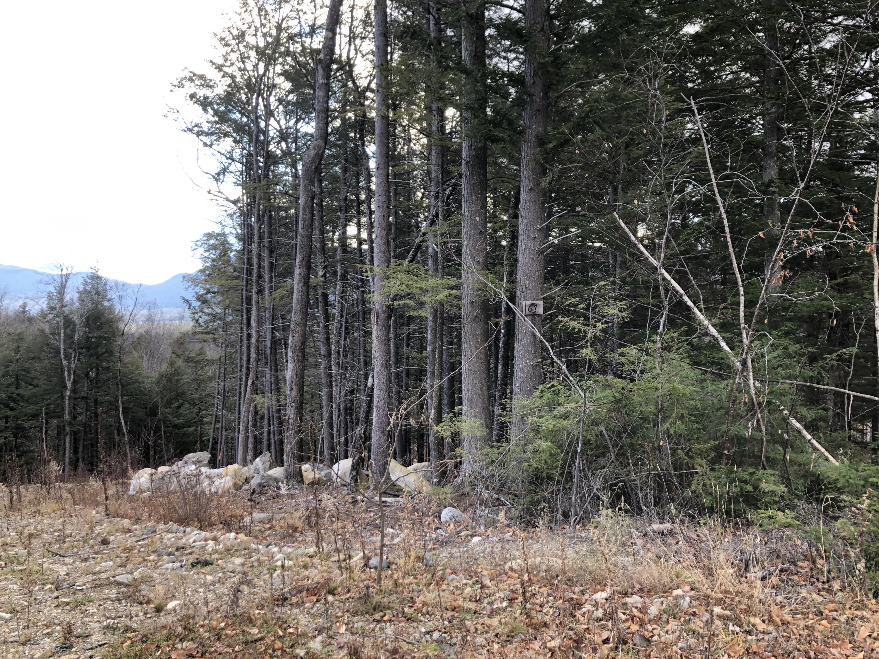 Lot 67 Snowbird Lane, Newry, ME, 04261