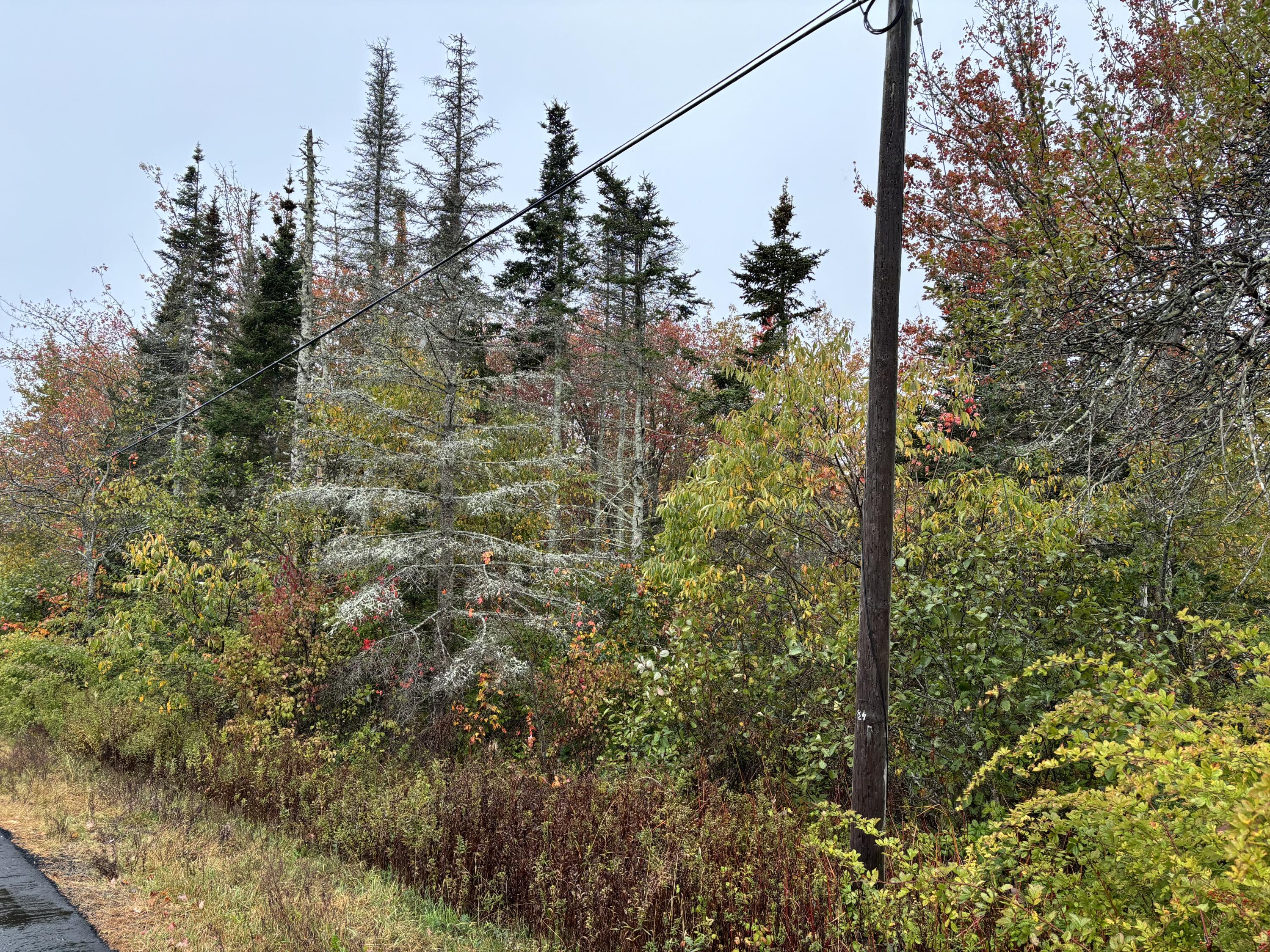 253 Hathorne Point Road, Cushing, ME, 04563