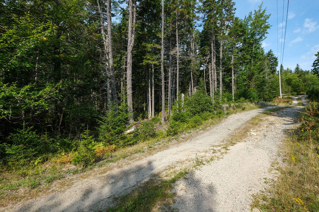12-1 S Burnt Cove Road, Stonington, ME, 04681