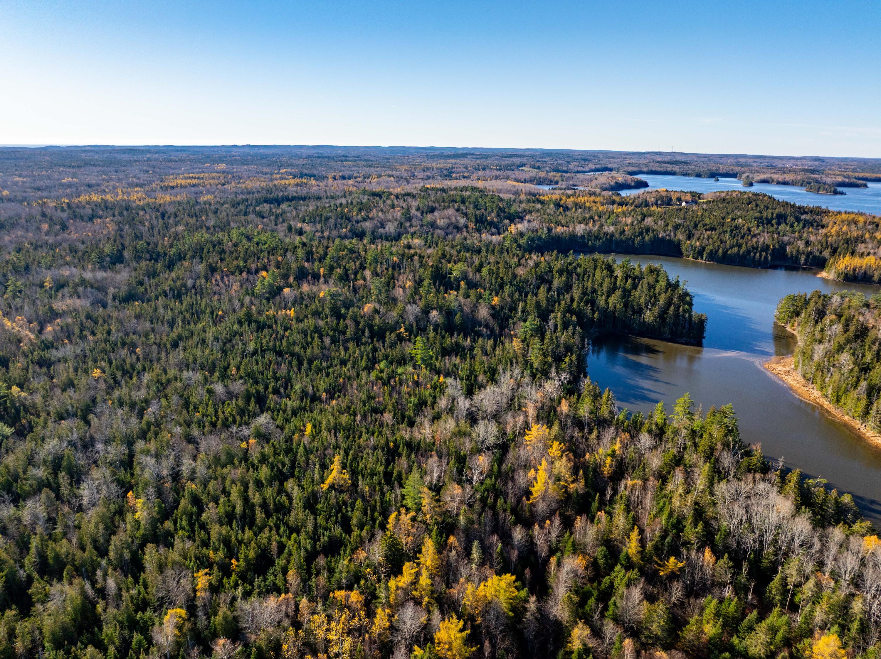 01-4 WA035, Trescott Twp, ME, 04652