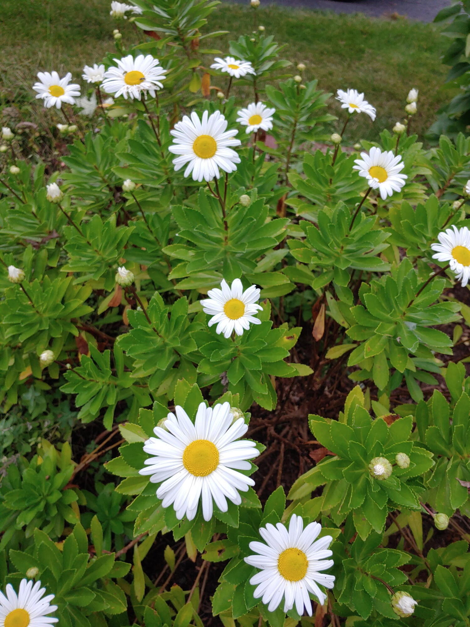 48 Pennell Avenue, Portland, ME, 04103