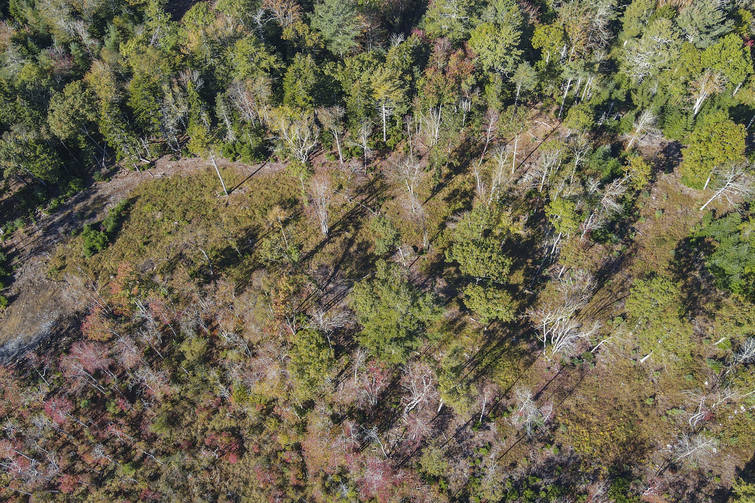 Lot 4 Jack's Lane, Bristol, ME, 04554