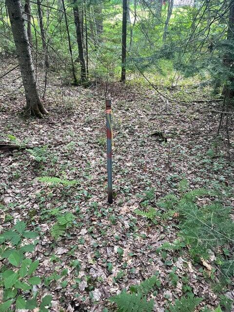 80 Gammon Road, Peru, ME, 04290