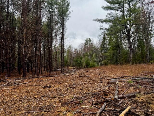SO 001 Plan 2 Lot 16.1 Long Falls Dam Road, Lexington Twp, ME, 04961
