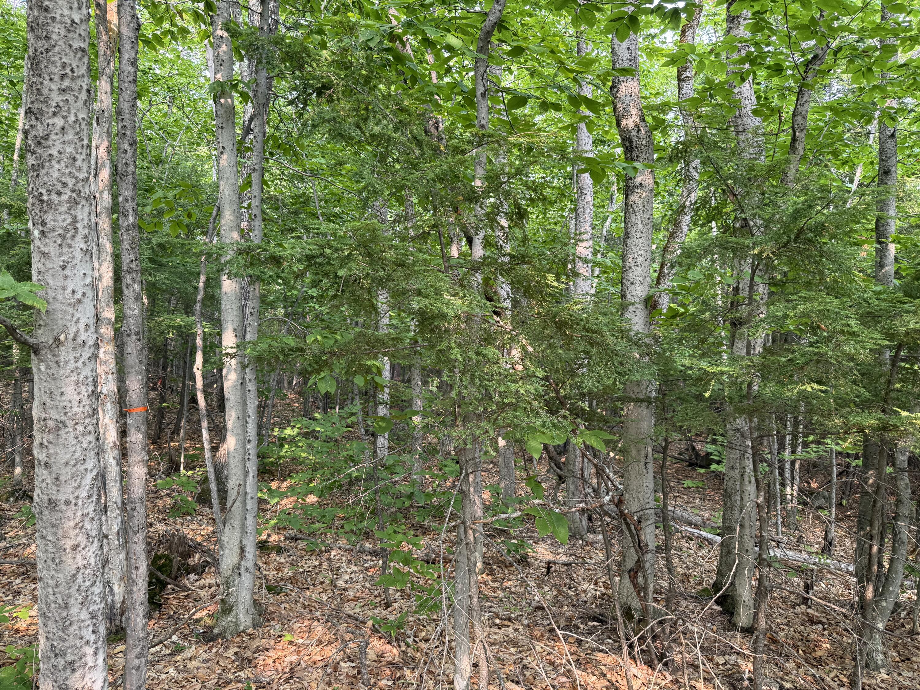 Lot 15-3B Sweden Road, Bridgton, ME, 04009