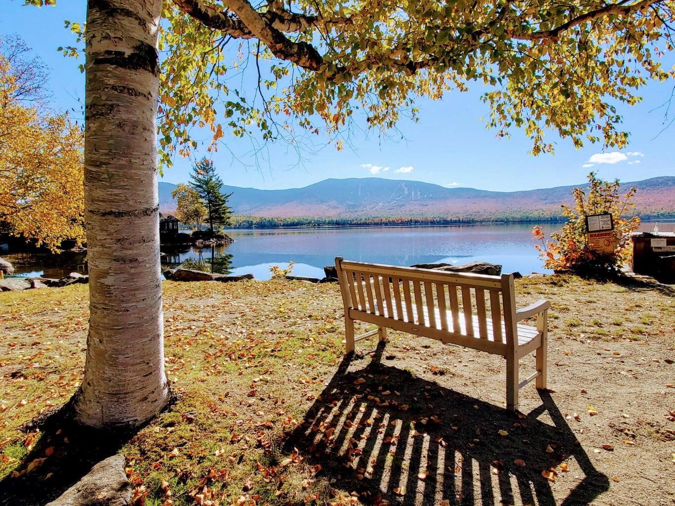 22 Robbins Nest Lane - Build Site UNIT 21, Dallas Plt, ME, 04970