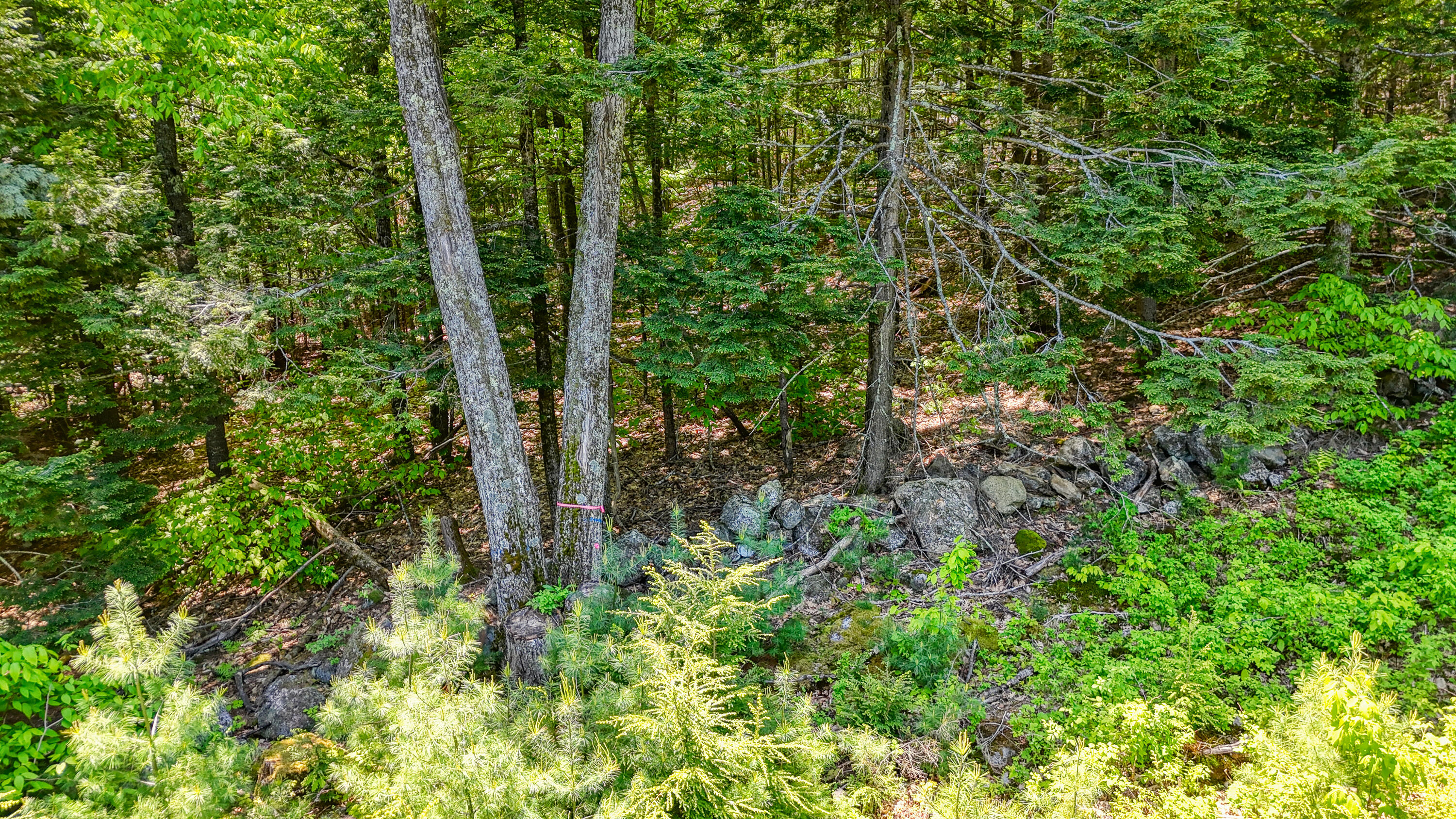 M3 L9 Winthrop Center Road, Winthrop, ME, 04364