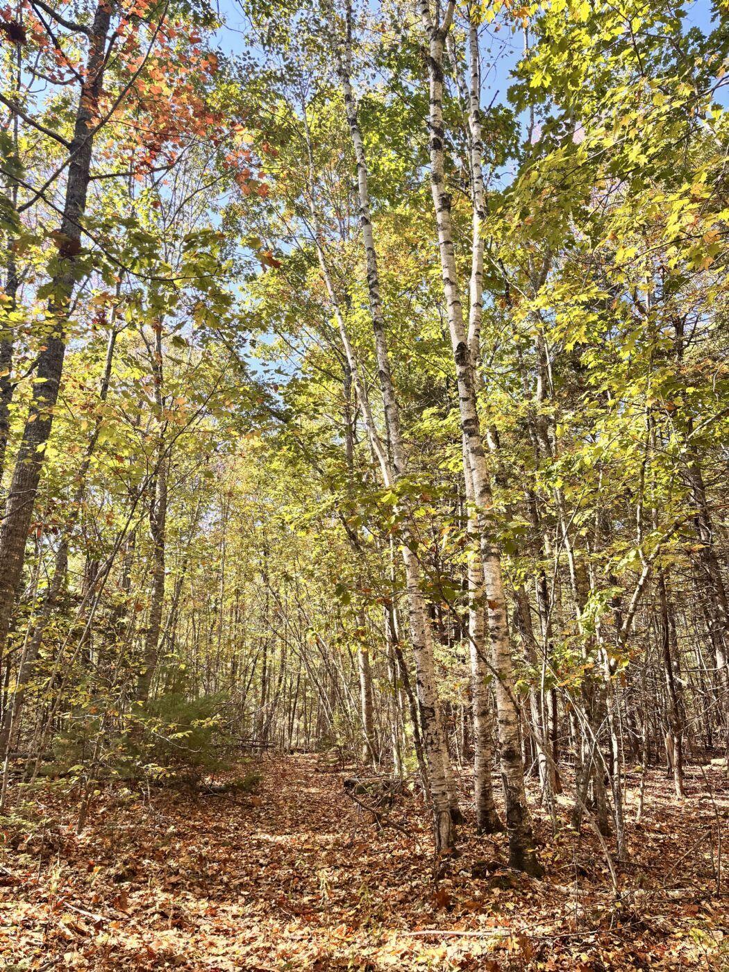 150 Bowden Point Road, Prospect, ME, 04981