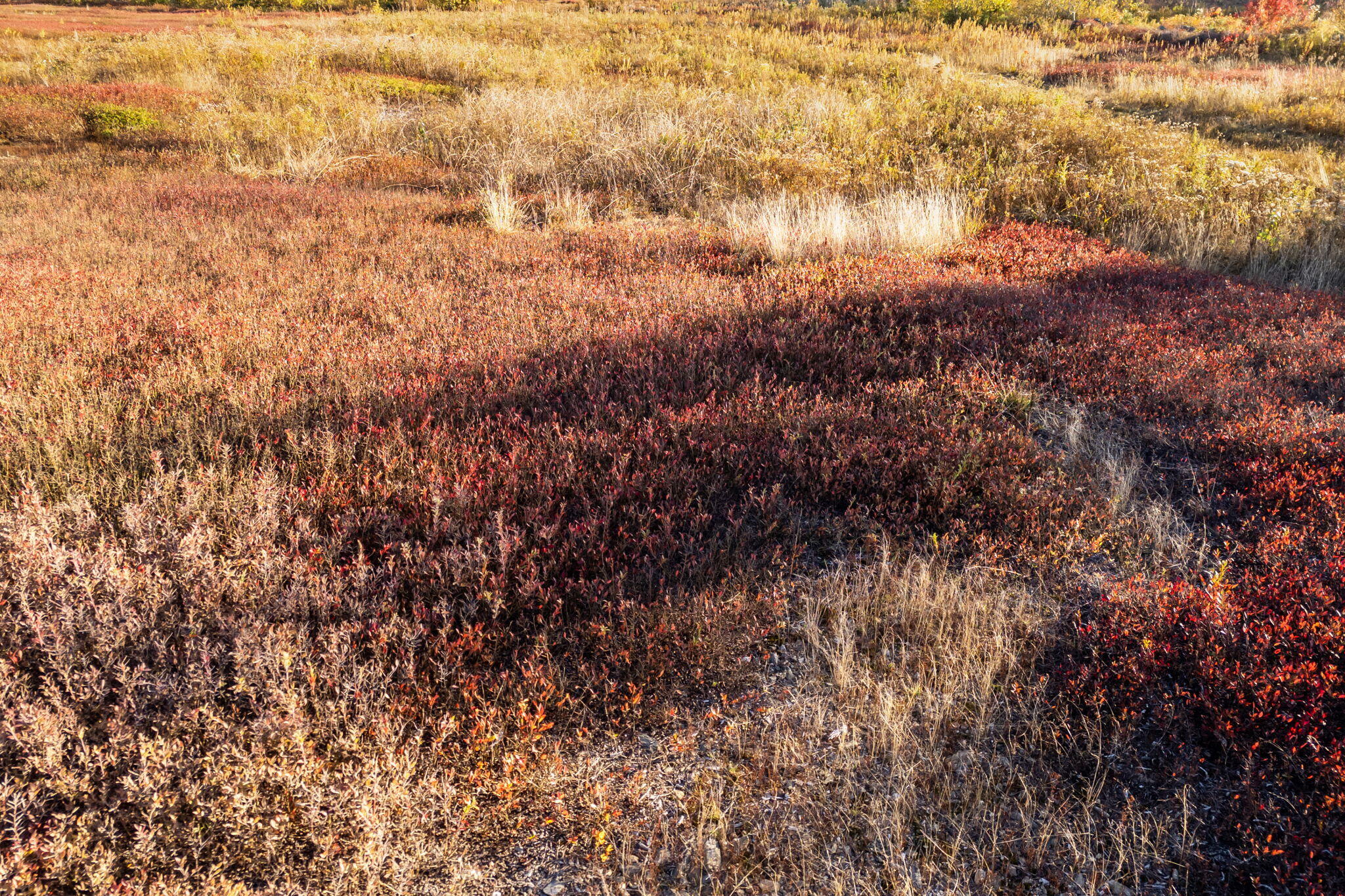 Lot UNIT&nbsp;15 Razorville Road, Washington, ME, 04574
