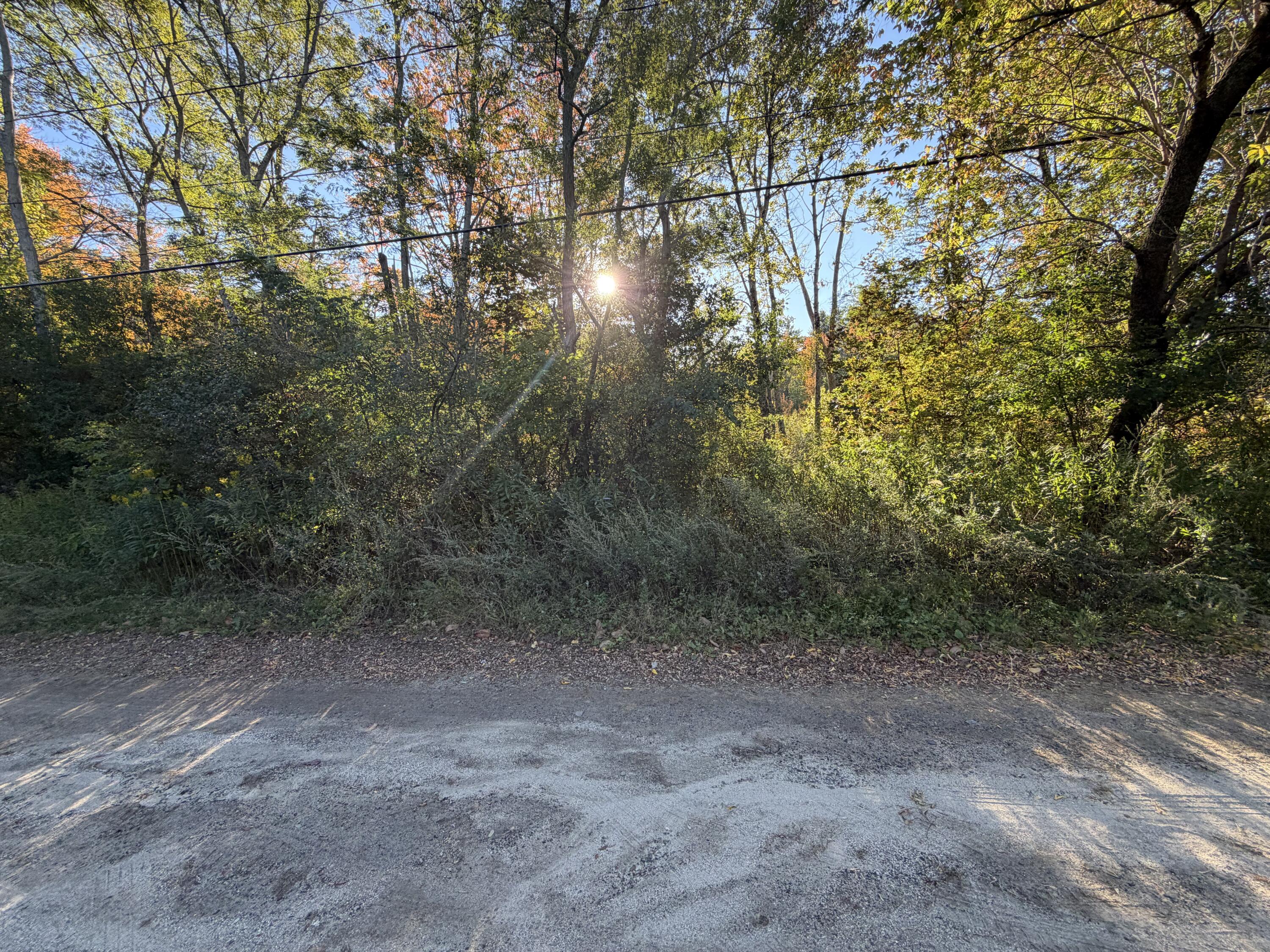 73 Gertrude Avenue, Portland, ME 04103 Land view