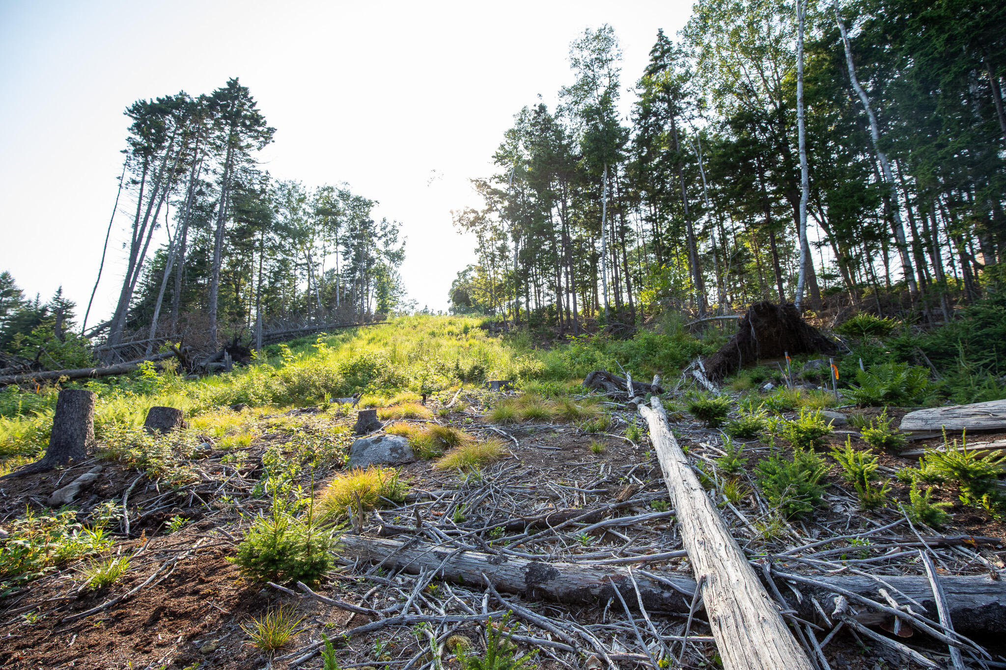 0 Bayview Road UNIT 2, Harpswell, ME, 04066