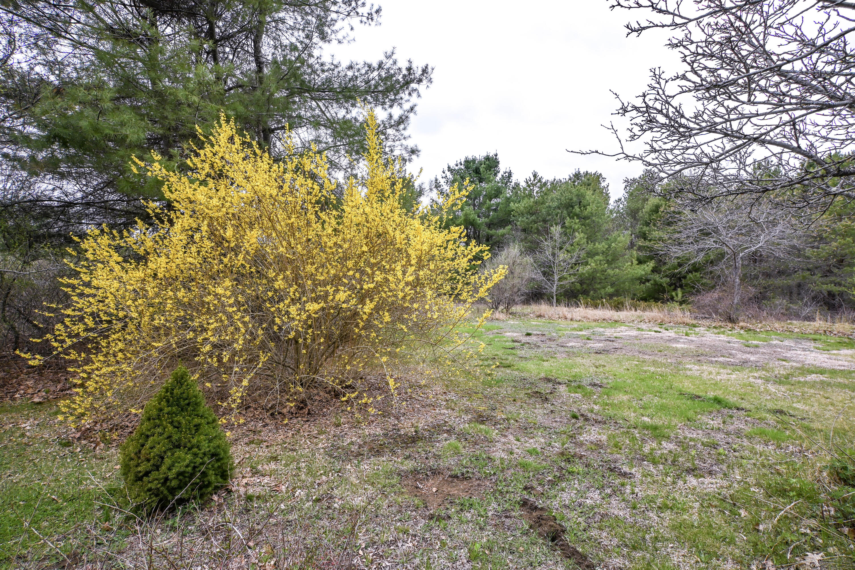 31 Vernon Road, Cape Elizabeth, ME, 04107