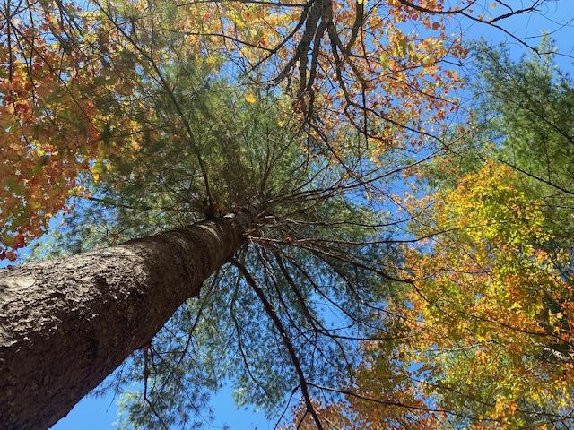 125 Packard Road, Monson, ME, 04464