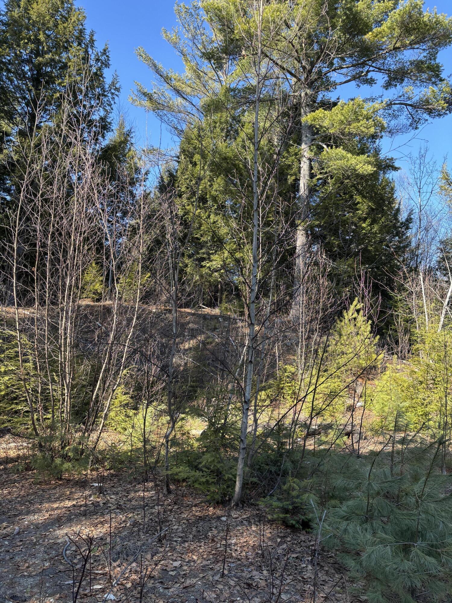 6 Bog Brook Loop, West Paris, ME, 04289