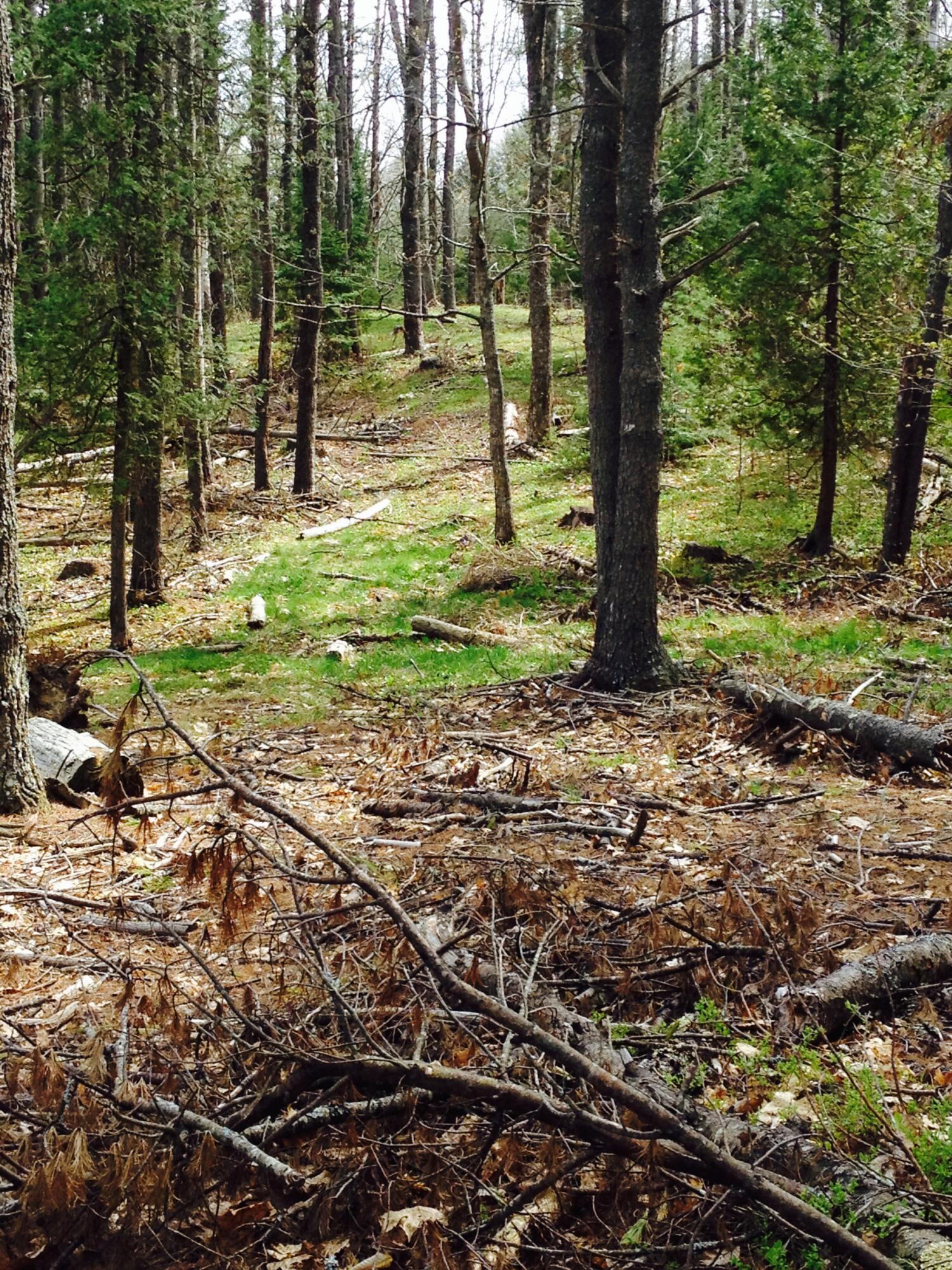 Map 240 Lot 1 Map 239 Lot 4, Rumford, ME, 04276