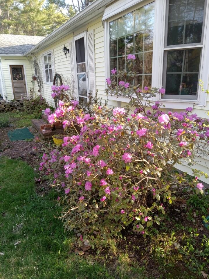 497 Back Road, Shapleigh, ME, 04076