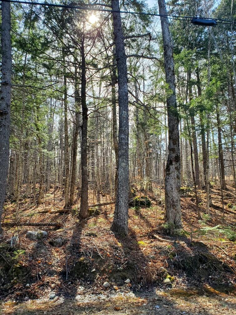 0 Sandy Beach Road, Danforth, ME, 04424