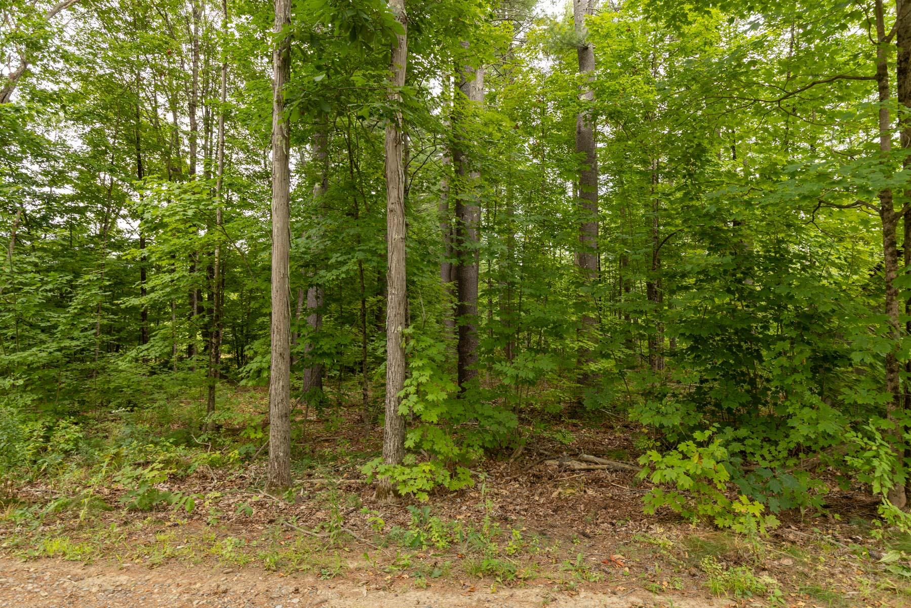 Lot UNIT&nbsp;5 Adams Bridge Road, North Berwick, ME, 03906