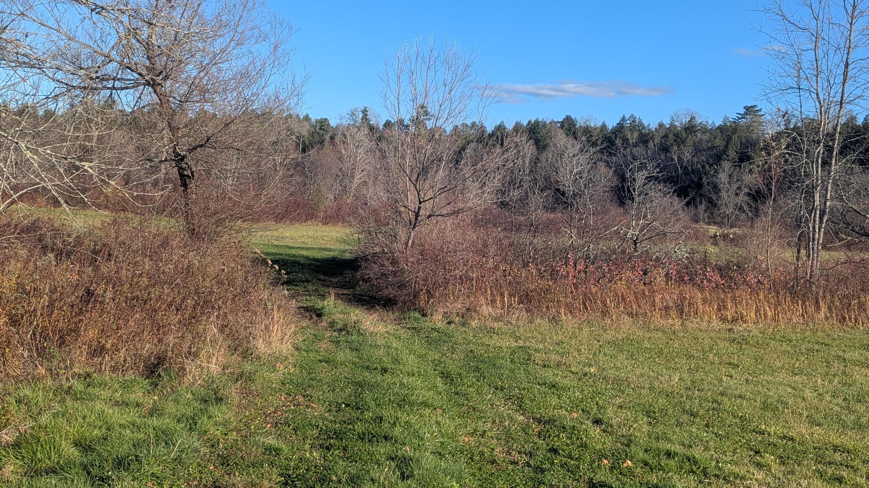 477 Malbons Mills Road, Skowhegan, ME, 04976