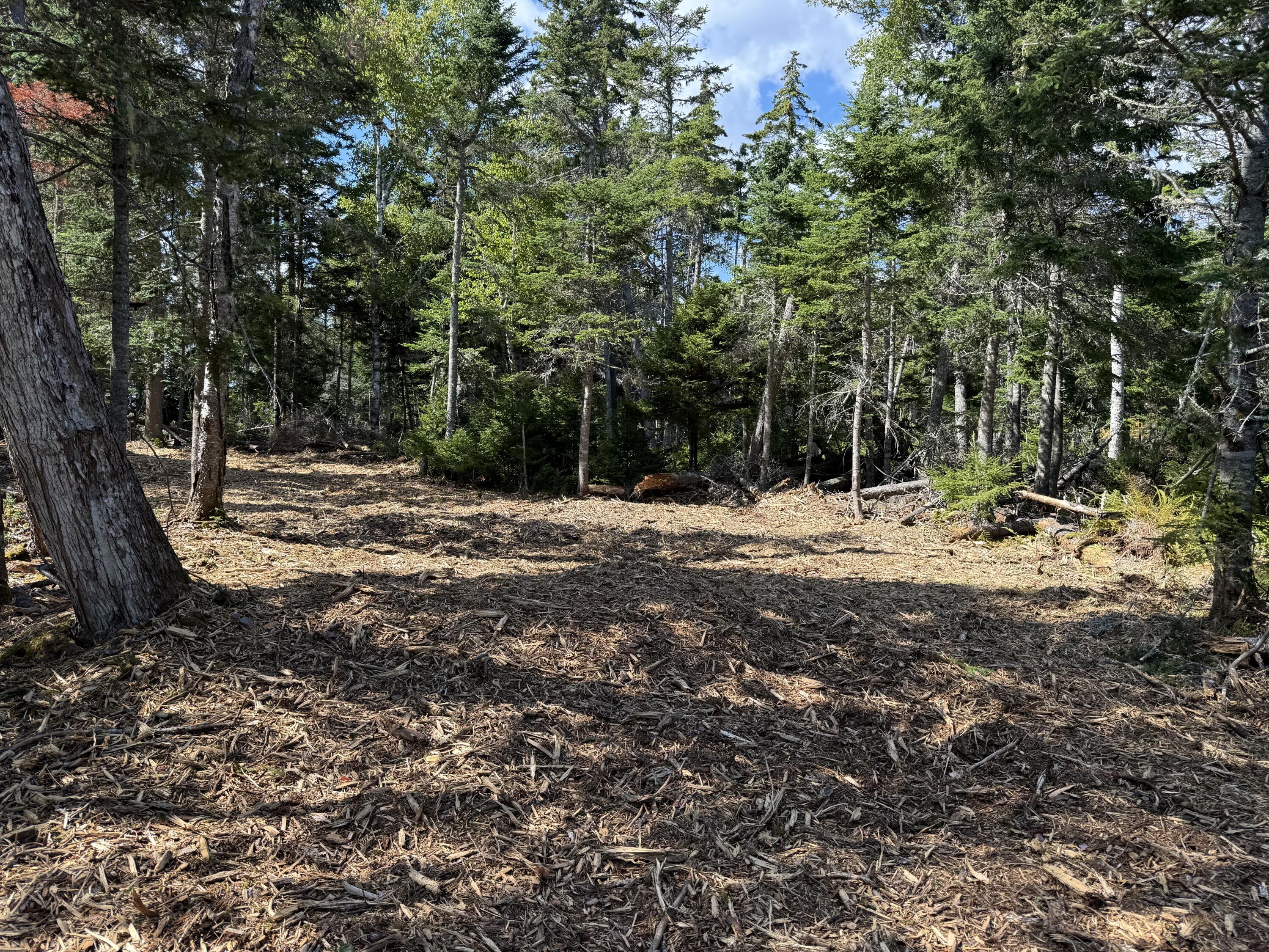 1552 Turtle Head Road, Islesboro, ME, 04848