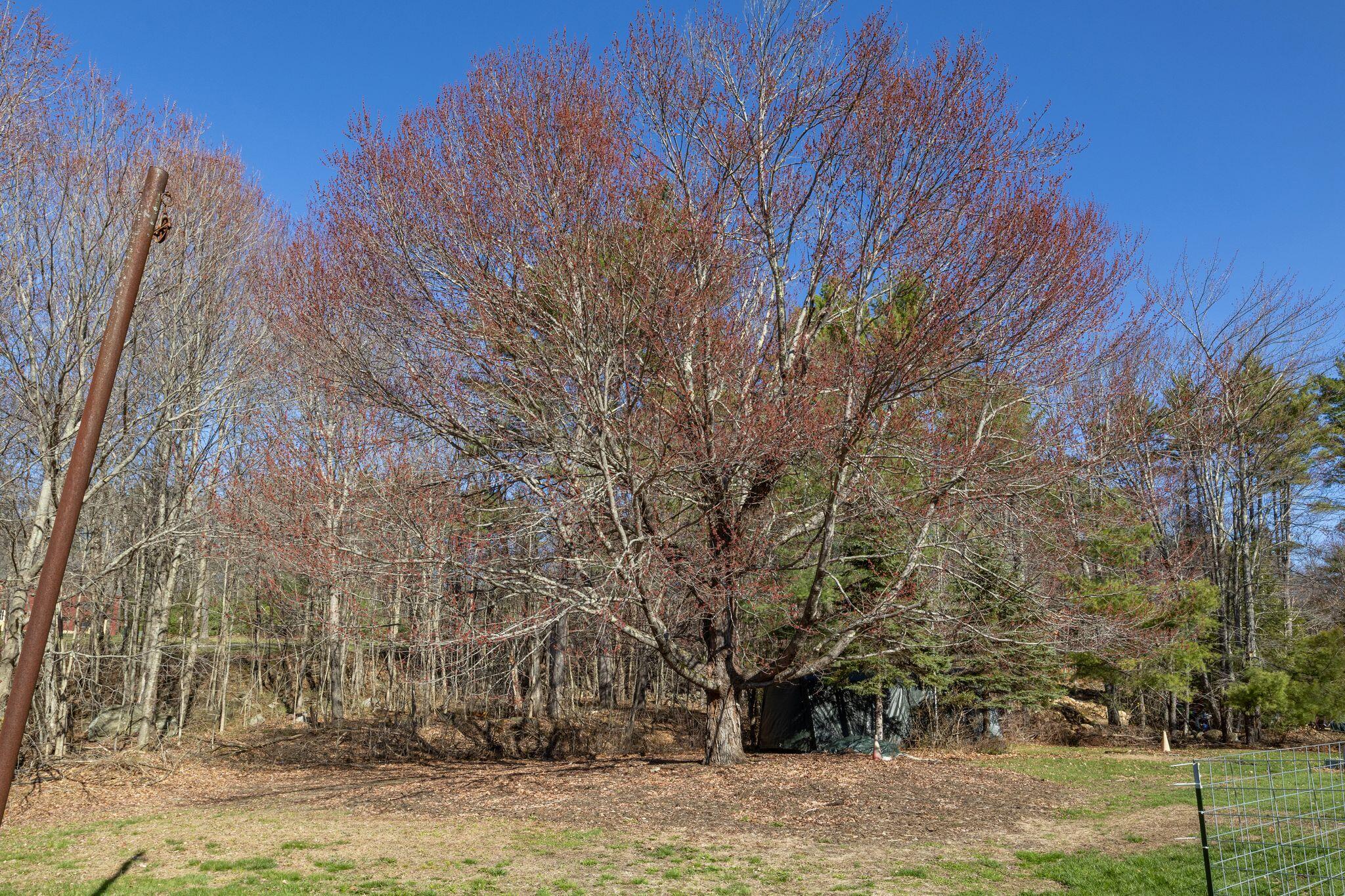 114 Stanley Road, Sanford, ME, 04083