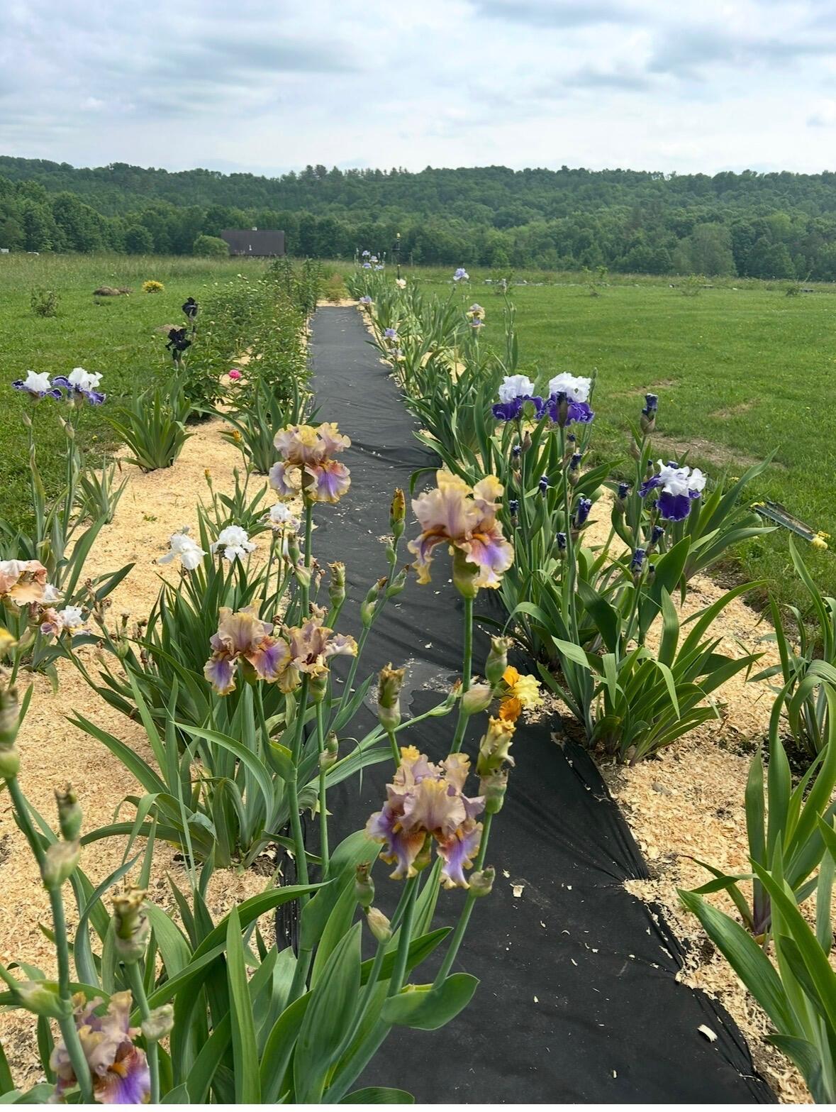 68 Pullen Road, Dexter, ME, 04930