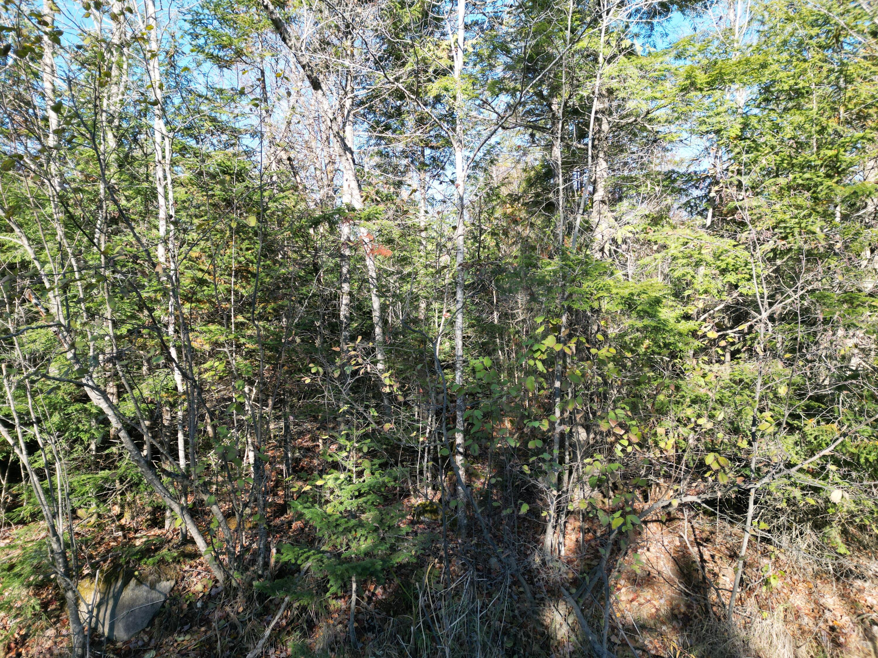 Lot 18-1 Mattamiscontis Road, Howland, ME, 04448