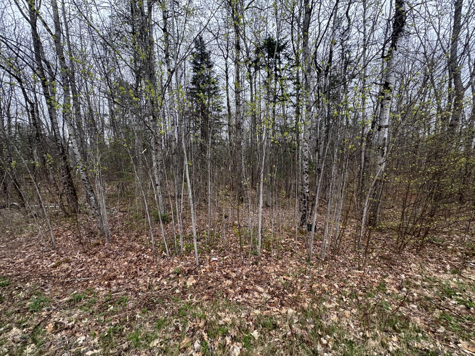 Lot 23 N Dixmont Road, Troy, ME, 04987 Lot 23 N Dixmont Road, Troy, ME, 04987