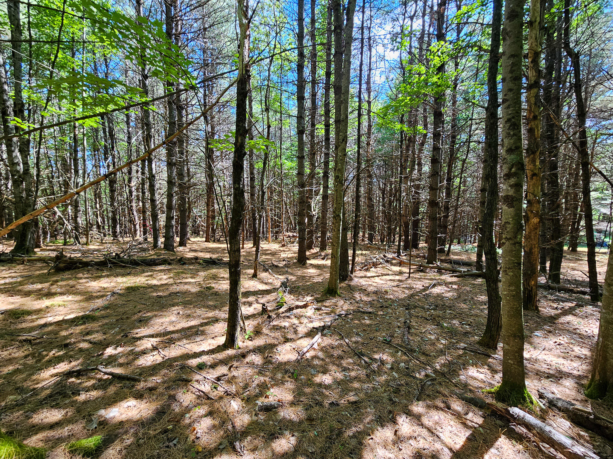 11-31-C Stone Hill Road, Farmington, ME, 04938